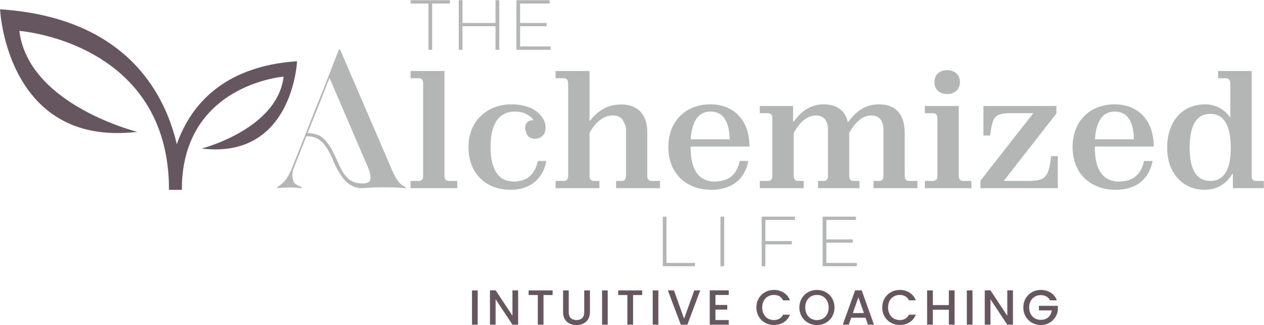 The Alchemized Life